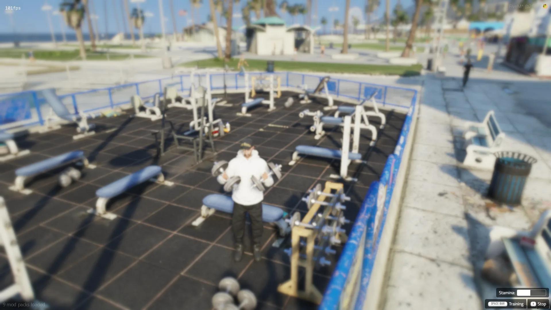 FiveM Ownable Gyms & Skill System